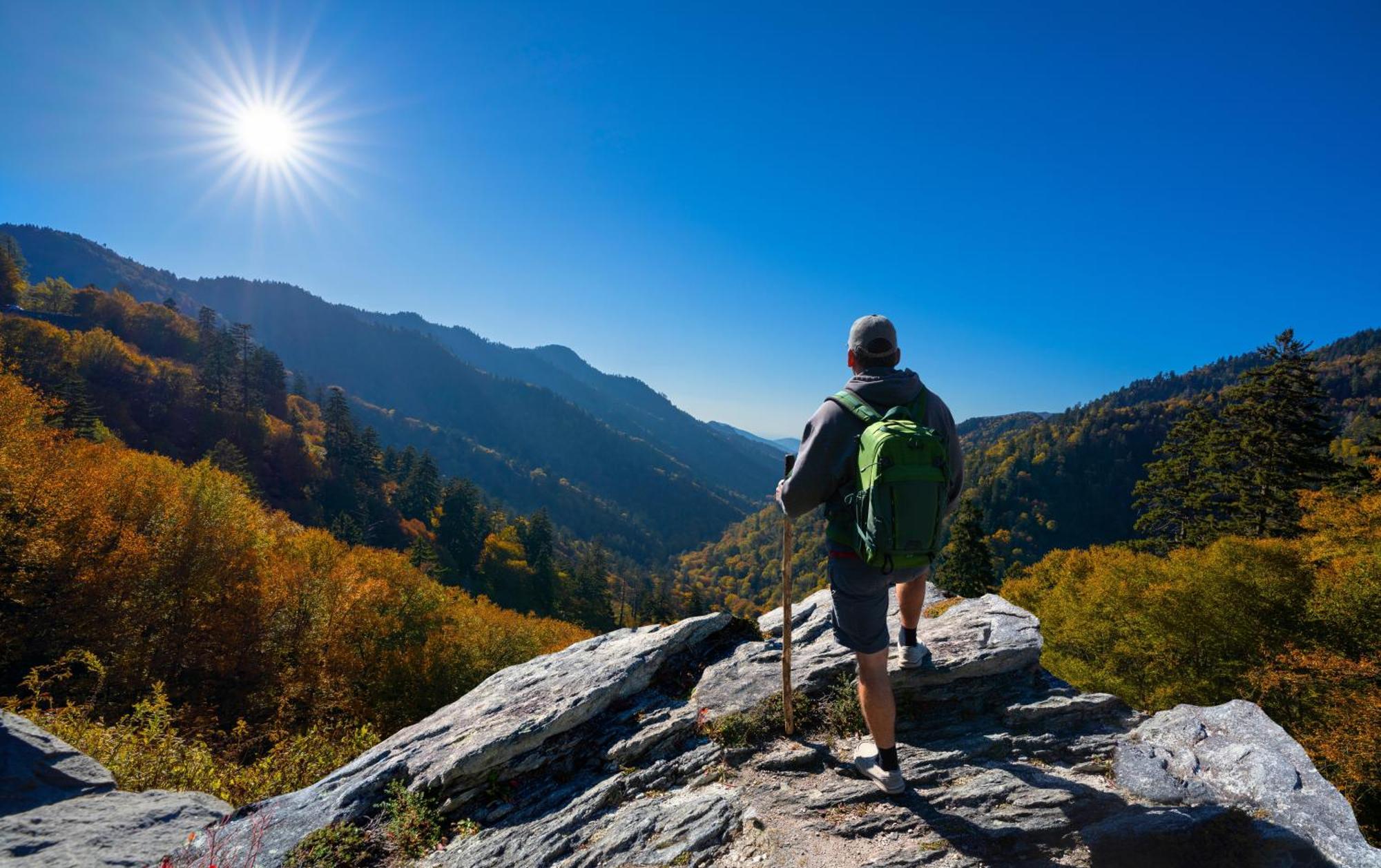 Her Majesty'S Way, Awesome Mtn Views, 1089 Free Tickets Each Paid Day, Dollywood And More Gatlinburg Eksteriør bilde
