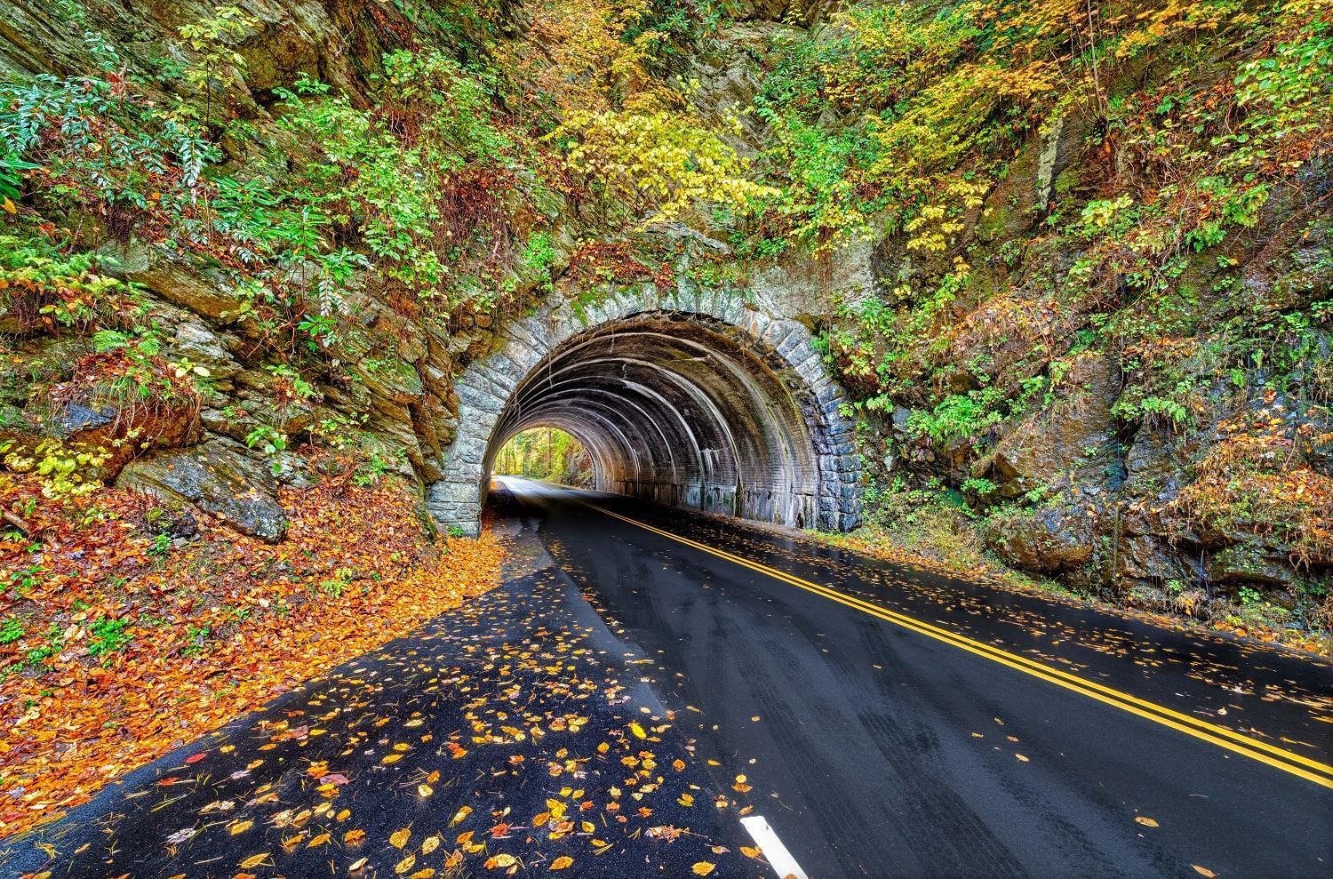 Her Majesty'S Way, Awesome Mtn Views, 1089 Free Tickets Each Paid Day, Dollywood And More Gatlinburg Eksteriør bilde