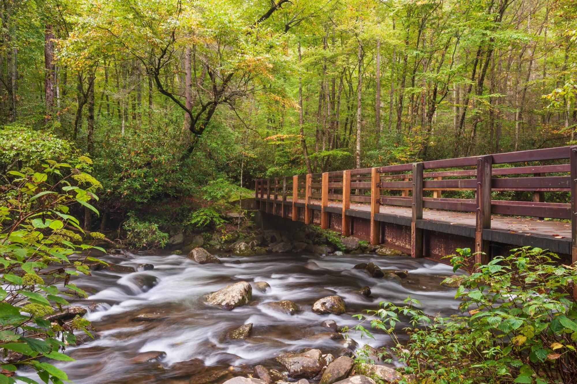 Her Majesty'S Way, Awesome Mtn Views, 1089 Free Tickets Each Paid Day, Dollywood And More Gatlinburg Eksteriør bilde